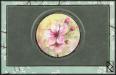 Sakura Jewel Box - Raiz de Roble - Art & Crafts
