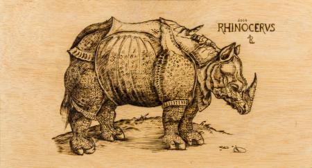 Rhinocerus - Pirograbado - Laura Robles